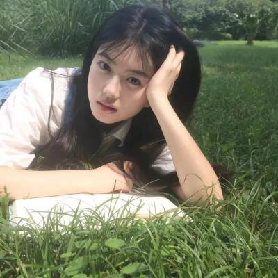 一条狗的使命2